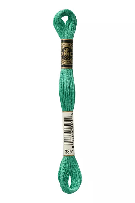 3851 DMC Six Strand Cotton Embroidery Floss