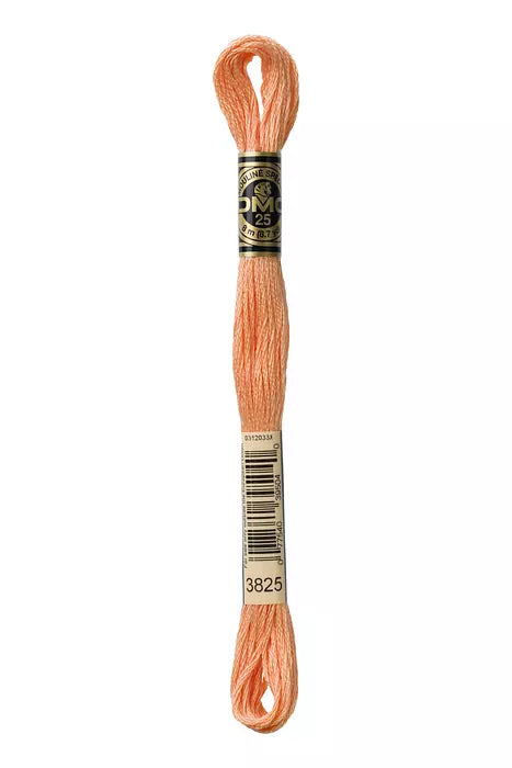 3825 DMC Six Strand Cotton Embroidery Floss