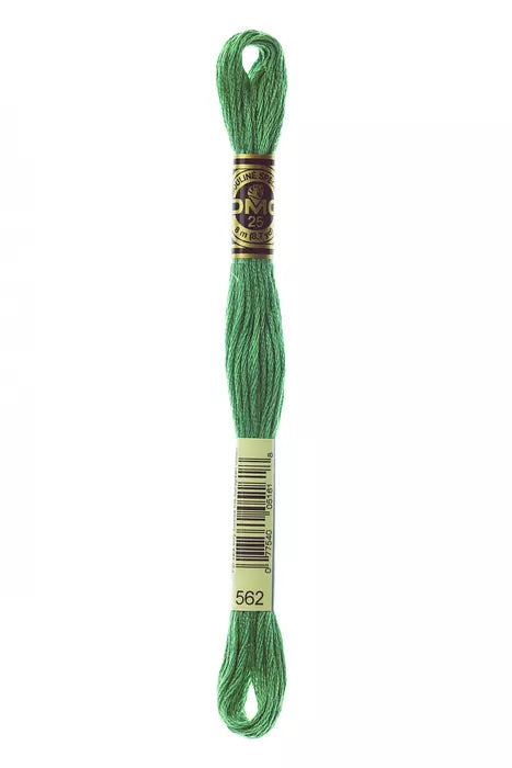 562 DMC Six Strand Cotton Embroidery Floss