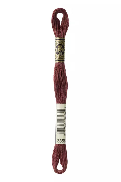 3858 DMC Six Strand Cotton Embroidery Floss